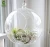 Import Hanging Glass Vase, Flower Planter Glass Terrarium Container Vases Home Decoration from China