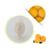 High Quality 100% Natural Yellow Sweet Flavour Concentrate Fresh Fruit Orange  Extract Powder For Drink