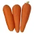 Import high quality carrots for export fresh carrot in hot sale from China