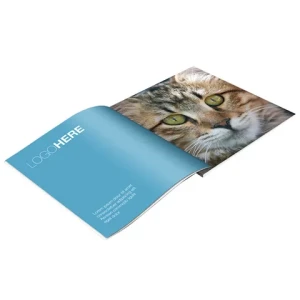 High Quality Cheap Price Custom booklet  Flyer Leaflet High Quality  Coated Paper Printing  Brochure