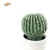 High quality everyday EVA green tabletop indoor artificial cactus plant in plastic pot for home decoration