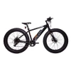 High Quality Fat Tire 26 Inch 8 Speed Cheap E Bike Electric Bicycle For Sale