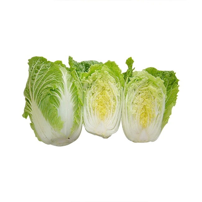 High quality fresh chinese fresh white purple round green cabbage