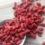 Import High Quality Fresh Organic Dried Goji Berry Suppliers from South Africa