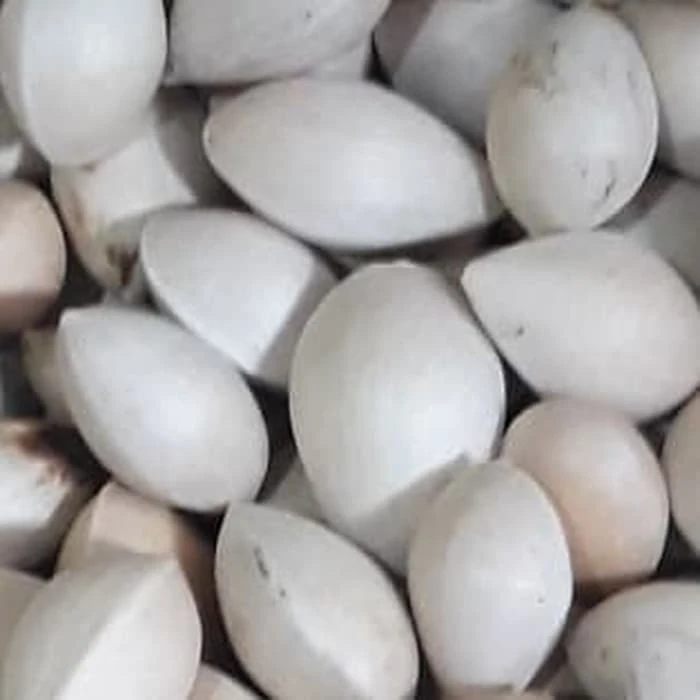 High Quality Ginkgo Nuts ,Peeled Ginkgo Nuts,Raw Ginkgo Nuts for sale