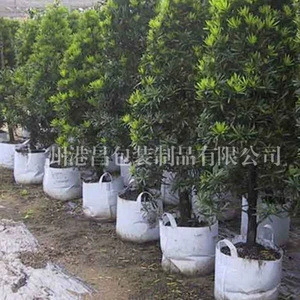 high quality Non woven fabric grow bags, tree planting bags
