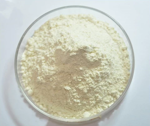 High Quality Psyllium Husk Powder / Organic Psyllium Husk Powder