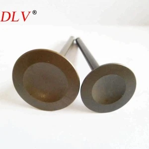 High quality racing motorcycle  engine valves for HK250 KZ200 MZ200 inlet and outlet valves 12004-1006 12005-1005
