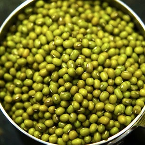 HIGH QUALITY SOUTH AFRICA DRIED GREEN MUNG BEANS