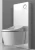 Import High standard smart intelligent toilet and shower toilet unit from China