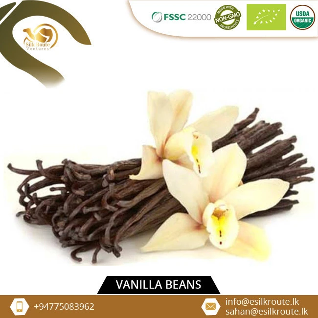 High Vanillin Content Affordable Price Premium Ceylon Vanilla Beans