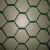 Import Hight Quality good pvc coated hexagonal wire mesh lowest price chicken wire mesh from China
