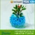 Import Home decoration use wholesale jelly ball water pearl/magic crystal clay from China