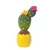 Import Home Garden Accessories Table Gifts UK Pot Cactus in Decoration Cactus Decoration Table from China