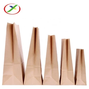 Hot eco friendly food delivery carry paper bag
