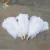 Import Hot sale cheap 70-75cm large white natural ostrich feathers for wedding decoration from China