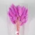 Import Hot Sale Different Color Rabbit Tail Dry Flower For Home Decoration Or Gift from China
