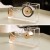 Import hot sale Factory Direct Sale acrylic tape dispenser for eyelash extension from China