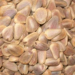 hot sale high quality custom made pine nuts