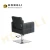 Import Hot-sale Retro Salon chair  hair other cheap salon furniture styling salon chair  all purpose hair chairs from China