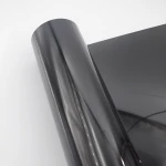 Hot Selling other packaging materials pet plastic film  pet coil in packaging/advertising/printing