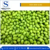 Hot Selling Premium Quality Wholesale Fresh Fruit Green Olives