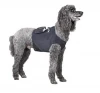 hot selling protective VEST for Cardiac Monitoring for pet care accessories