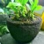 Import houseplants landscape lava stone pot volcanic rock flower pot pumice stone bonsai pot from China