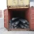 Import HRB400 HRB500 Building Material Deformed Steel Bar from China