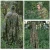 Import Hunting Ghillie Suit Camouflage Maple Leaf 3D Tactical Suits Sniper Clothes Shooting Wildlife Photography Men Women Ponchos from China