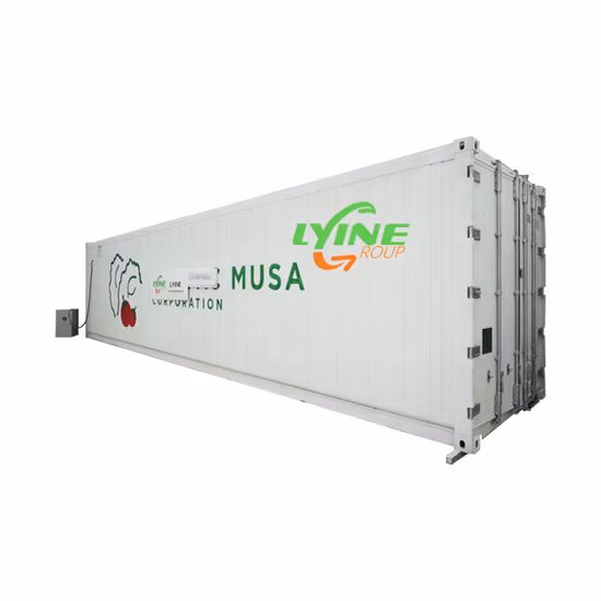 Hydroponic Shipping Container Farm Hydroponic Vertical Container Farming System for Vegetable Growing