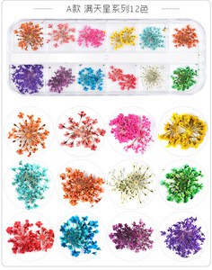 Ibelieve 1box s 3D nail art Decoration Real Dry Dried Flower For UV Gel Acrylic Nail Art