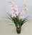 Import Indoor Decoration Fake Simulation Artificial Flower Wall White Orchid Potted Plant from China