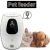 Import intelligent pet feeder cat food bowl with camera  remote monitoring quantitative feeder dog camera from China