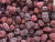 Import Iqf Fresh Blackberry Fruits Frozen from China