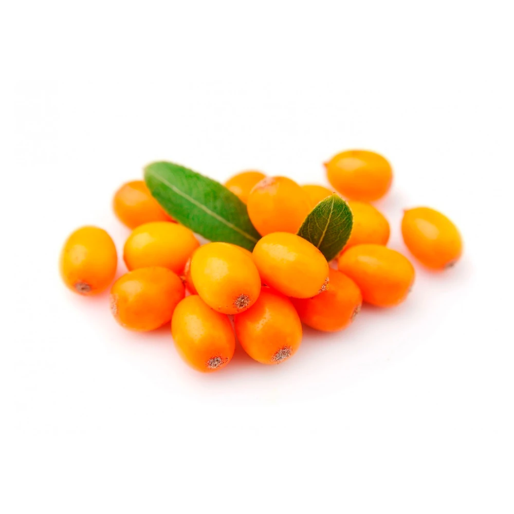 IQF frozen sea-buckthorn in bulk from manufacturer, product of Russia