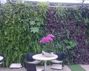 Ivy Covering Grass Plant Design Flower Box Hedge 2017 Ornamental Boxwood Green Artificial Vertical Garden Wall