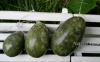 jade eggs in semi-precious stone crafts wholesale vaginal exercise jade eggs for sale