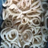 Japanese Squid Rings- todarodes pacificus-frozen rings