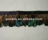 Lady Amherst Pheasant feather fringe rooster feather trimming