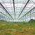 large size multi-span arch plastic film Greenhouse tomato greenhouse and strawberry greenhouse turnkey project
