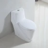 Lavatory wc toilet japanese toilet wc high efficiency toilets