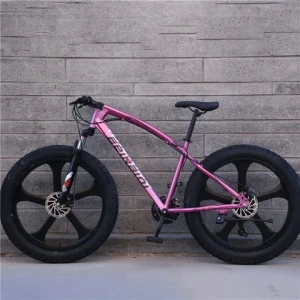 leisure walking Mountain bike adult beach snowmobile large tires male and female student variable speed vehicle