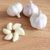 Liliaceous Vegetable Product Type and fresh chinese 4p pure white garlic