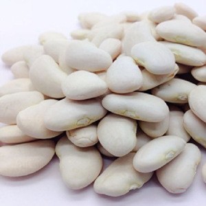 Lima Beans Supply