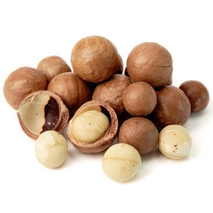 Macadamia Nuts With Shell/ Roasted Macadamia