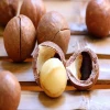 Macademia nuts Hot sale/Premium Grade Raw Organic Macadamia Nuts