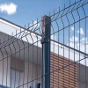 Made in China hot sale Hot dip zerun fence / 3d high quality zerun fence / welded zerun fence