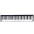 Import Manufacturers Musical Instruments Piano Keyboard Digital Kick And Play Piano from China