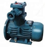 Marine Industrial Explosion-proof Electrical Motor